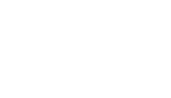 https://www.avf.sk/english.aspx