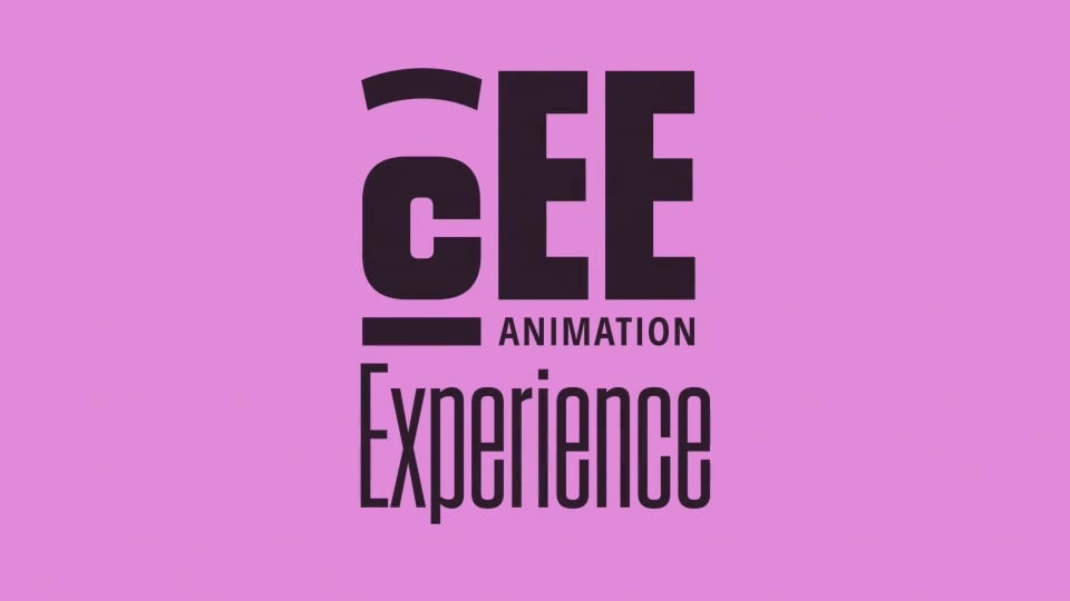 The Craft of Animated Series to Screens All Over the World (Shelley Hoffman)