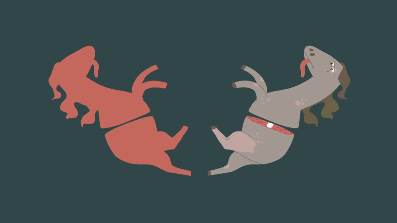 Anatomy of dismemberment