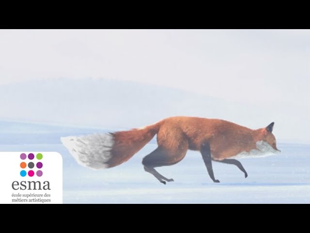 The Short Story of a Fox and a Mouse