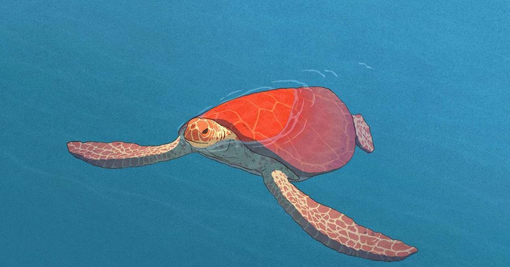 The Red Turtle