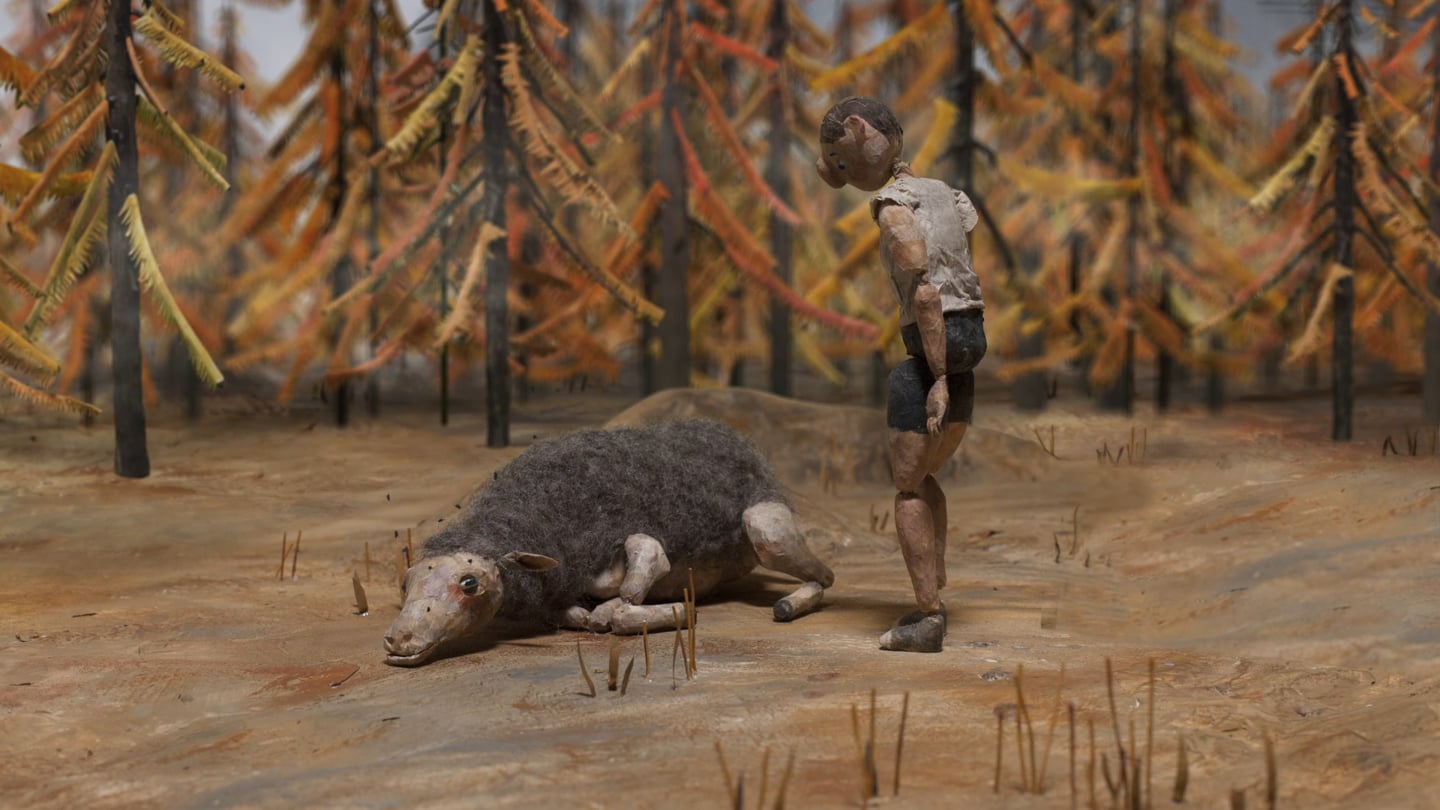 Black sheep