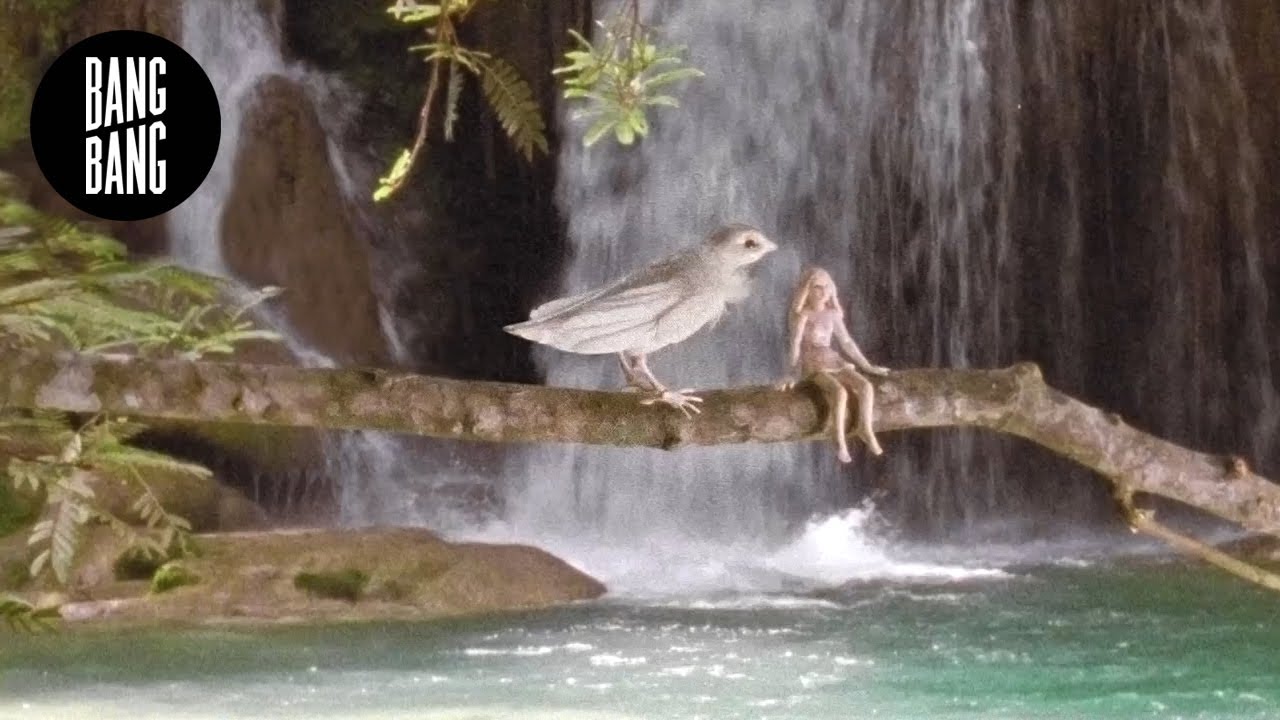 Winter In The Rainforest