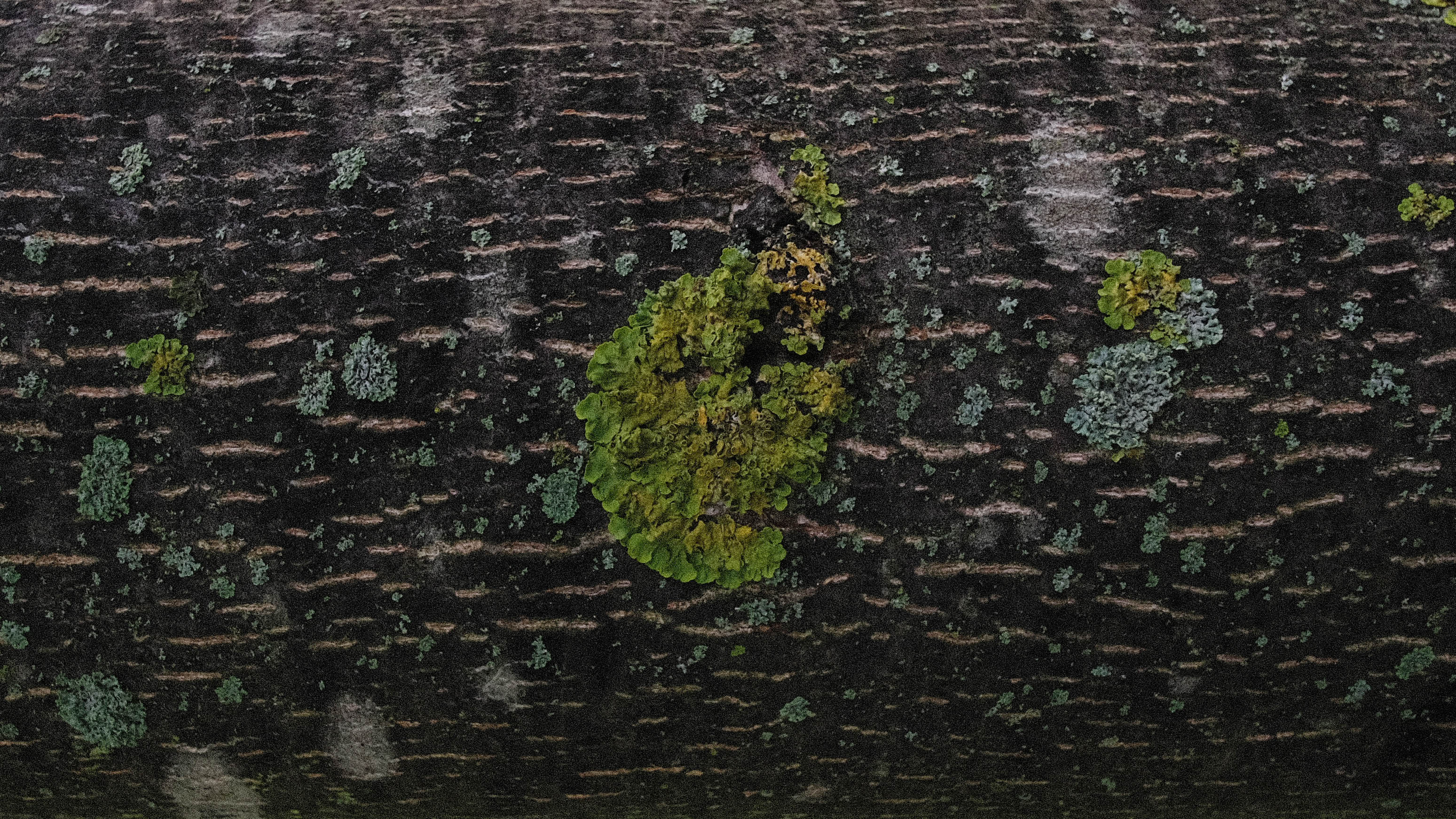Texture